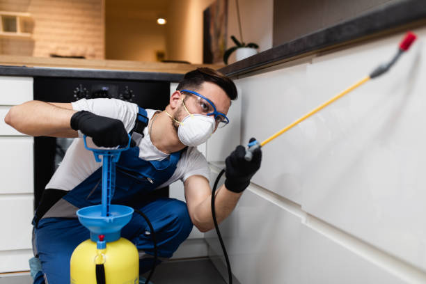 Best Pest Control Near Me  in Augusta, AR