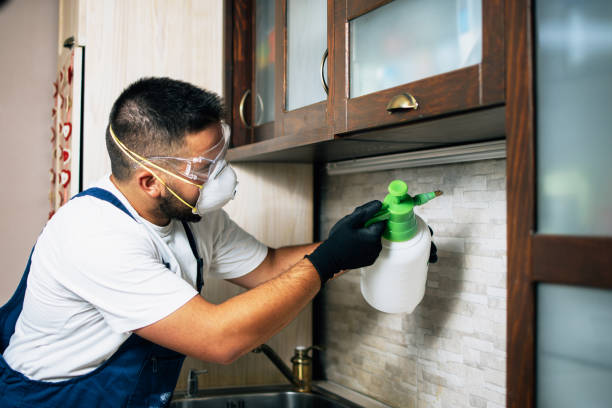 Best Pest Prevention Services  in Augusta, AR