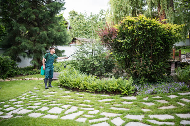 Best Pest Removal Services  in Augusta, AR