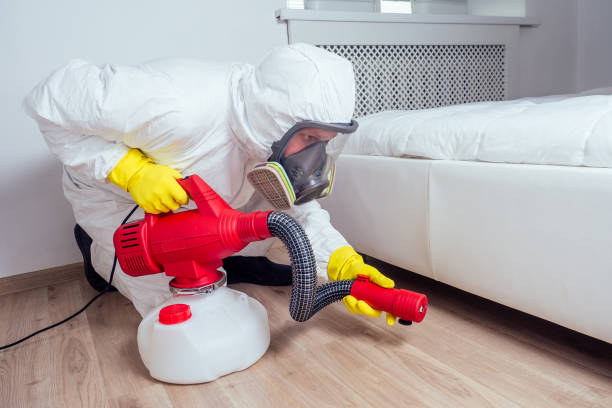 Best Insect Control  in Augusta, AR