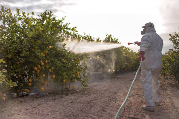 Best Affordable Exterminators  in Augusta, AR