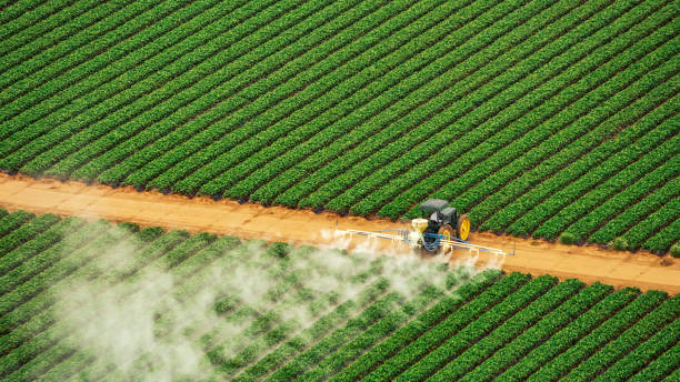 Best Best Pest Control Companies  in Augusta, AR