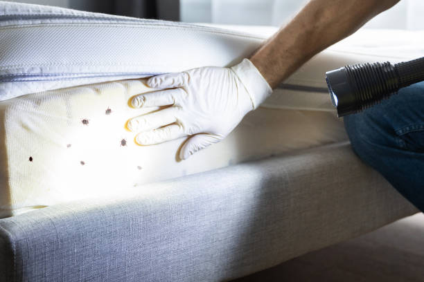 Best Pest Prevention Services  in Augusta, AR