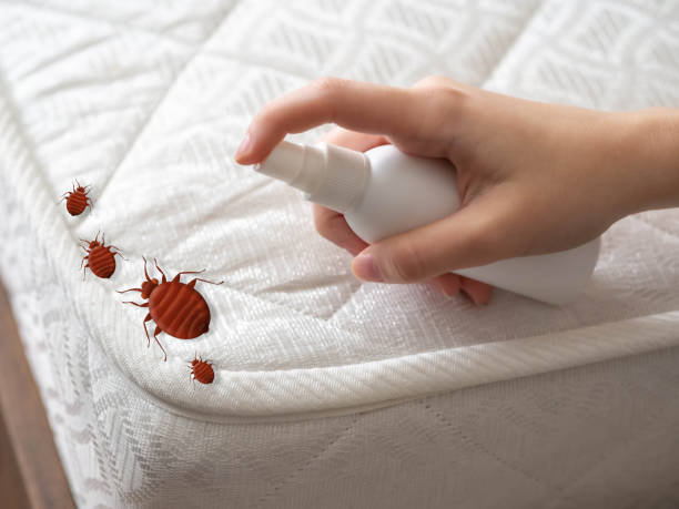 Best Commercial Pest Control Services  in Augusta, AR
