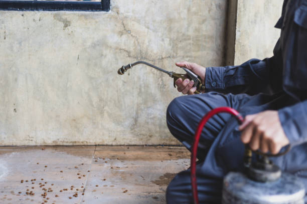 Best Flea Control Services  in Augusta, AR
