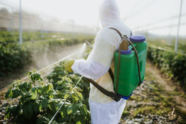 Best Rat Extermination Near Me  in Augusta, AR